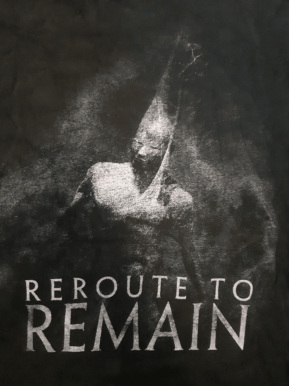 Reroute To Remain - image 2