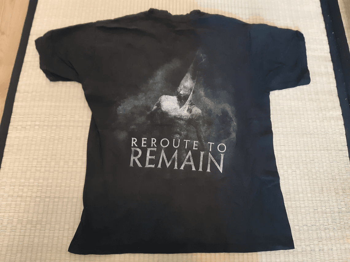 Reroute To Remain - image 5