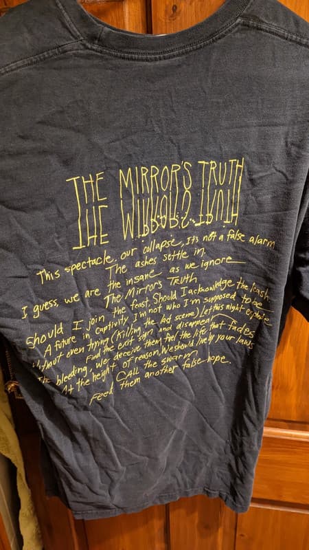 The Mirror's Truth - image 3